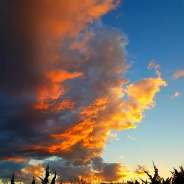 Sunshine Stockfoto's