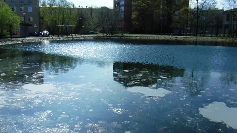 Sunshine on a pond Stock Footage 241912639