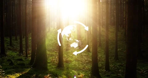 Sunshine rays in magic forest with earth recycle arrows animation Stock Footage 338304392