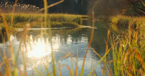 Sunshine reflection of the surface of a beautiful creek in an alpine walley in s Stock Footage 129408384