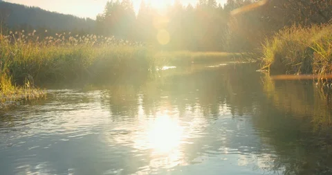 Sunshine reflection of the surface of a beautiful creek in an alpine walley in s Stock Footage 129408444