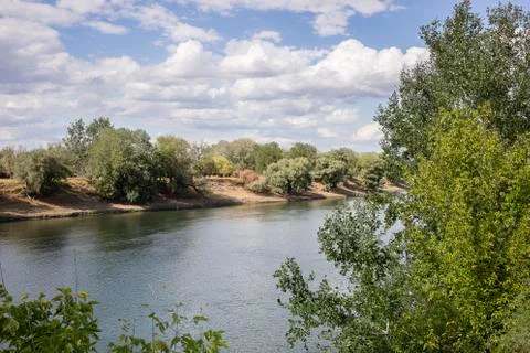 Sunshine on the river. Stock Photos