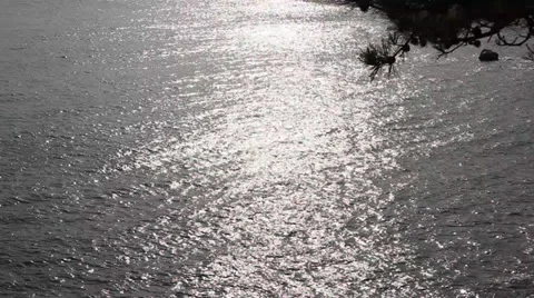 Sunshine of sea Stock Footage 35800386