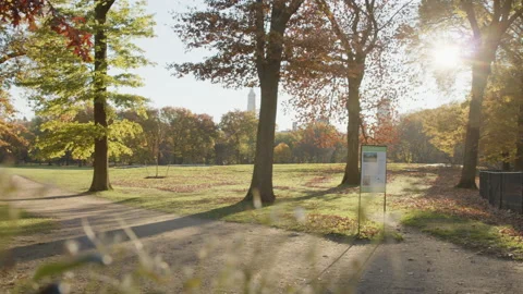 Sunshine in Sheep's Meadow in Central Park, New York Stock Footage 222687124