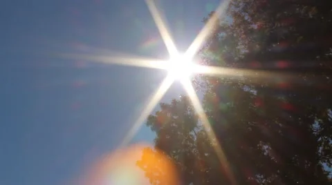 Sunshine shining through the trees Stock Footage 44447766