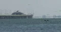 The Sunshine Skyway Bridge HD Footage