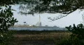 The Sunshine Skyway Bridge Vew Thru Trees HD Footage