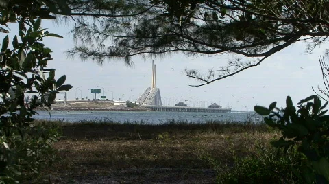 The Sunshine Skyway Bridge Vew Thru Trees Stock Footage