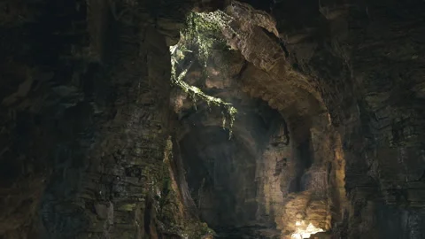 Sunshine spills through mossy rocks into hidden forest opening Stock-Footage 341827100