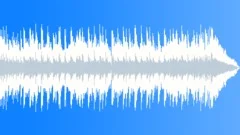 Sunshine Surfer (Fast, Energetic) - 15 Second Stock Music