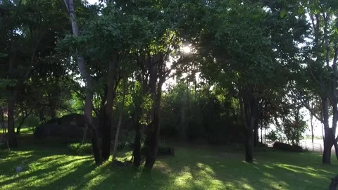 Sunshine through the Trees at Khao Hin Lek Fai Viewpoint, Hua Hin, Thailand Stock Footage 130697876