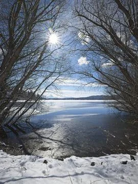Sunshine through trees by the lake. Stock Photos