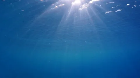 Sunshine undersea 4K Video stock 72279883