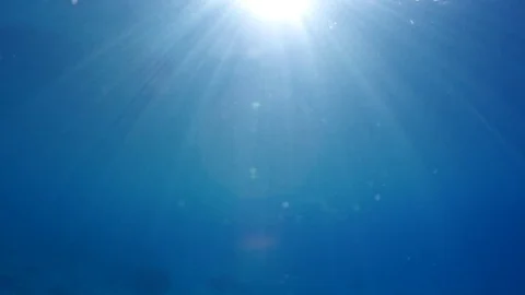 Sunshine undersea 4K Video stock 72280315