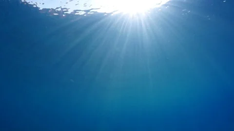 Sunshine undersea Video stock 72279389