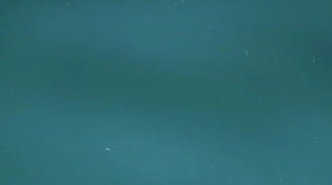 Sunshine in water 動画素材 837792