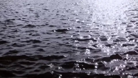 Sunshine in the water Video stock 84967617