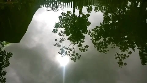 Sunshine On The Water Stock Footage 212863641