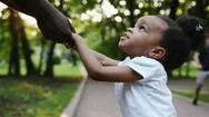 Sunshine Young African American Child Girl Hold Father Hand Walk In Park Summer Stock Footage