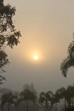 Sunshine1 스톡 사진