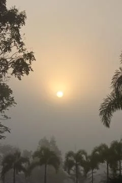 Sunshine2 Stock Photos