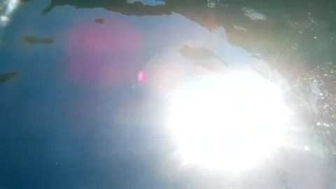Sunshinereflectunderwatersurface10secnosound 스톡 동영상 194058292