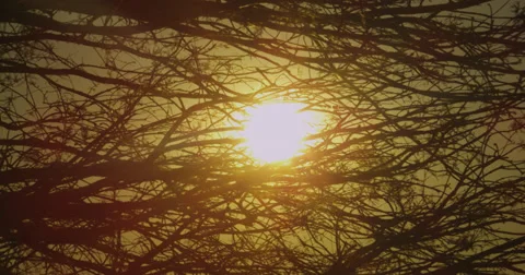 A Sunspot that would bring a tear to Michael Bay's eye Stock-Footage 29895231