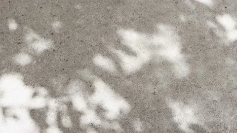 Sunspots on a concrete wall shining through wood. Stock Footage 196309693