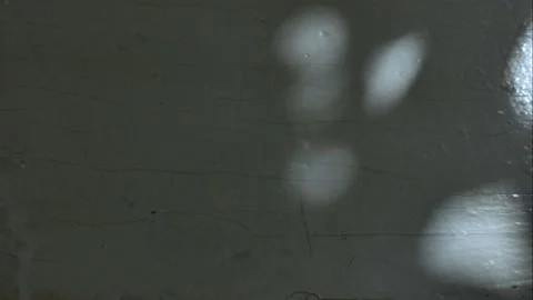 Sunspots move in the shadows, time-lapse. Video stock 247838663