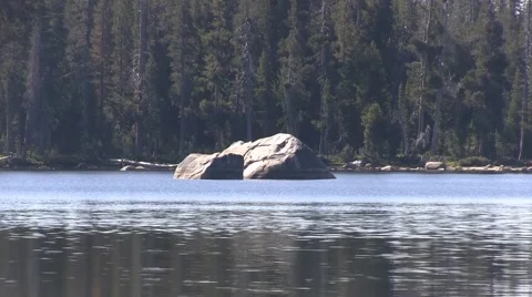 Suntan rock Video stock 41920304