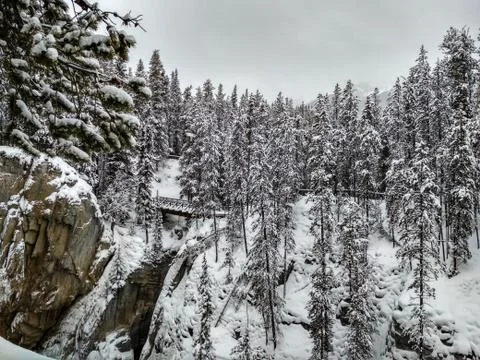 Sunwapta Falls Bridge in Winter Stock Photos