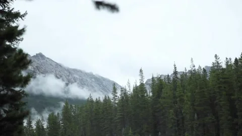 Sunwapta Falls, Jasper, Alberta, Canada Stock Footage 131367501