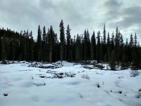 Sunwapta Falls Stock Photos