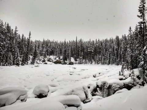 Sunwapta Falls in Winter Stock Photos