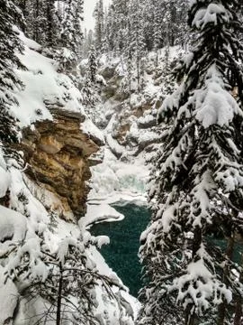 Sunwapta Falls in Winter Stock Photos