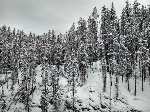 Sunwapta Falls in Winter Stock Photos