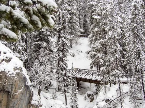 Sunwapta Falls in Winter Stock Photos