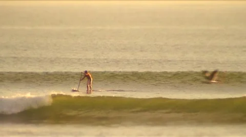 SUP-29,31 sup wave rides Stock Footage 1023307