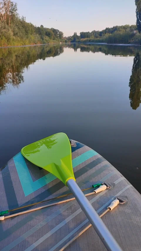 SUP board with green paddle on surface of river water with green trees Vertical Stock Footage 287894657