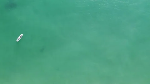 Sup board in the sea Stock Footage 217374250