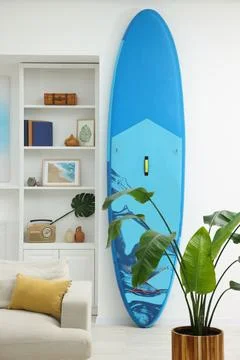 SUP board, shelving unit with different decor elements and green houseplant.. Stock Photos