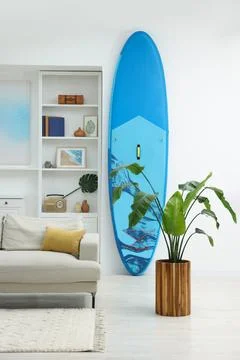 SUP board, shelving unit with different decor elements and green houseplant.. Stock Photos