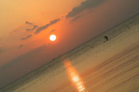 Sup board sunset Stock Photos
