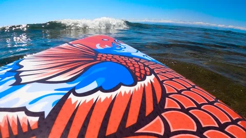 SUP board on water 스톡 동영상 282361686