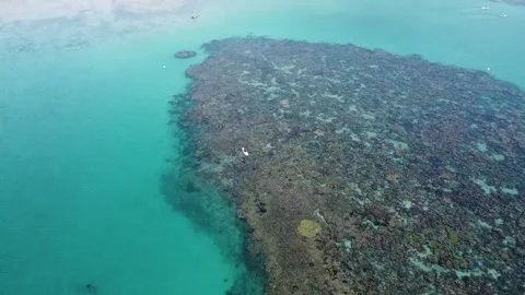 SUP Over Coral Reef at Lizard Island Stock Footage 297968665