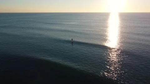 SUP Stand Up Paddle Surfer in a Sunset at Costa da Caparica beach, Portugal Stock Footage 146101663