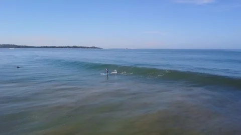 SUP surfer catching wave and wiping out in Playa Grande Costa Rica Stock Footage 90976182