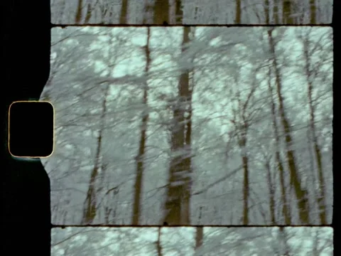 Super 8 Driving Past Trees Covered in Snow Stock Footage 221567603