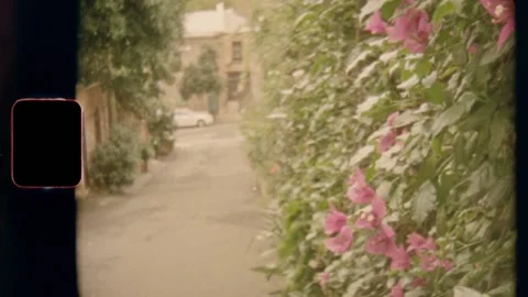 Super 8 | Flower wall Video stock 130427007