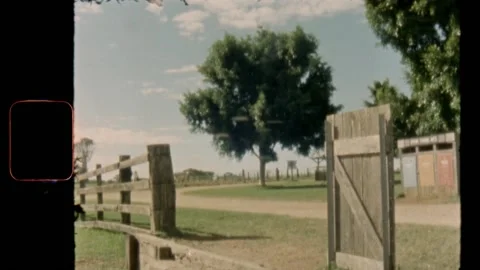 Super 8 | Lone tree sits on a farm Stock Footage 140426230